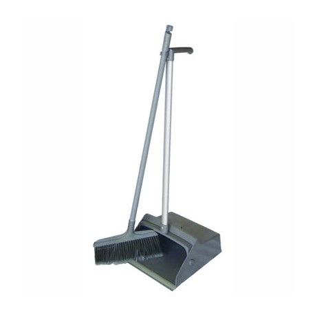 Swinging dustpan with broom