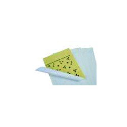 Pack of 5 spare adhesive insect killer plates