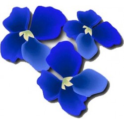 Perfume BLUES AMBIANCE
