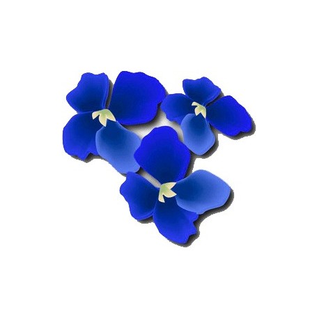 Perfume BLUES AMBIANCE